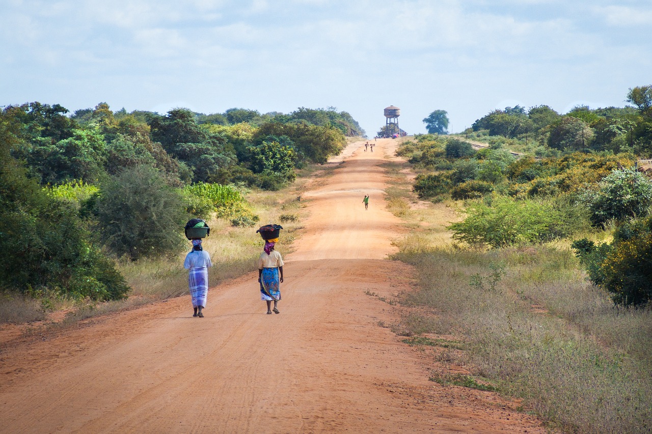 african-women-walking-along-road-2983081_1280